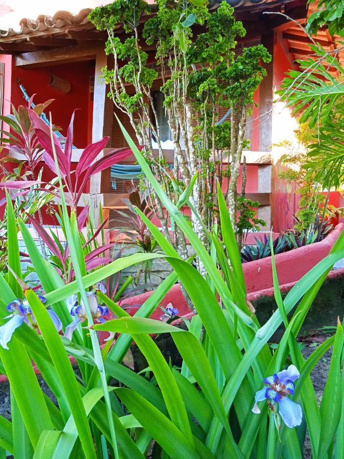 Novos Baianos Hostel E Pousada Порту-Сегуру Экстерьер фото A garden in the city