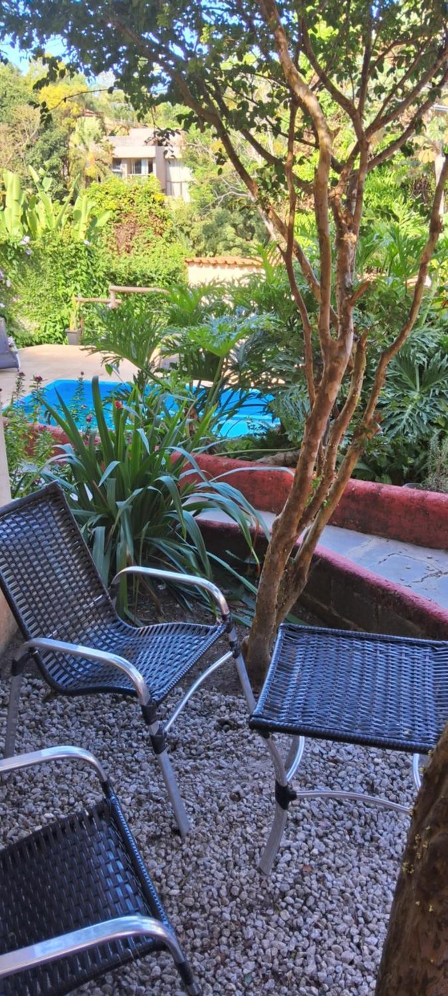 Novos Baianos Hostel E Pousada Порту-Сегуру Экстерьер фото A yucca plant in a garden