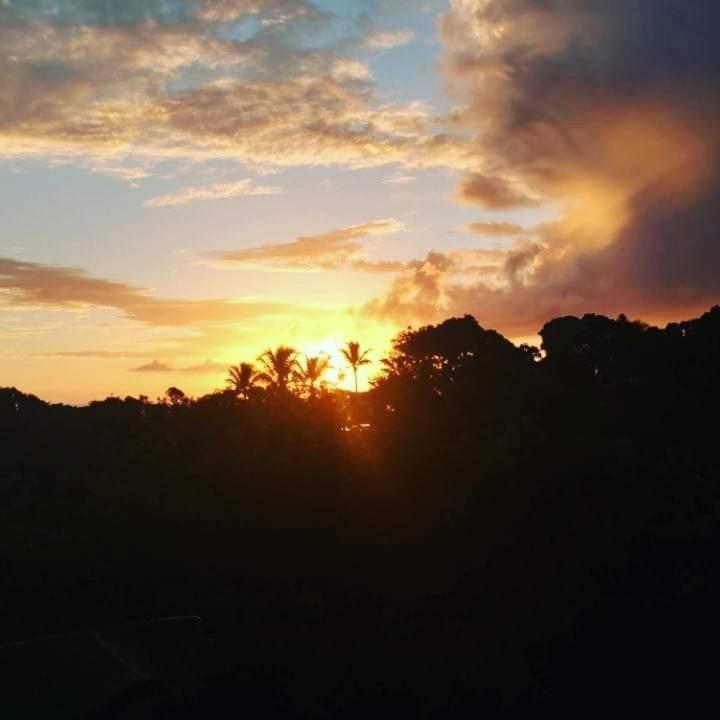 Novos Baianos Hostel E Pousada Порту-Сегуру Экстерьер фото Sunset in the rainforest